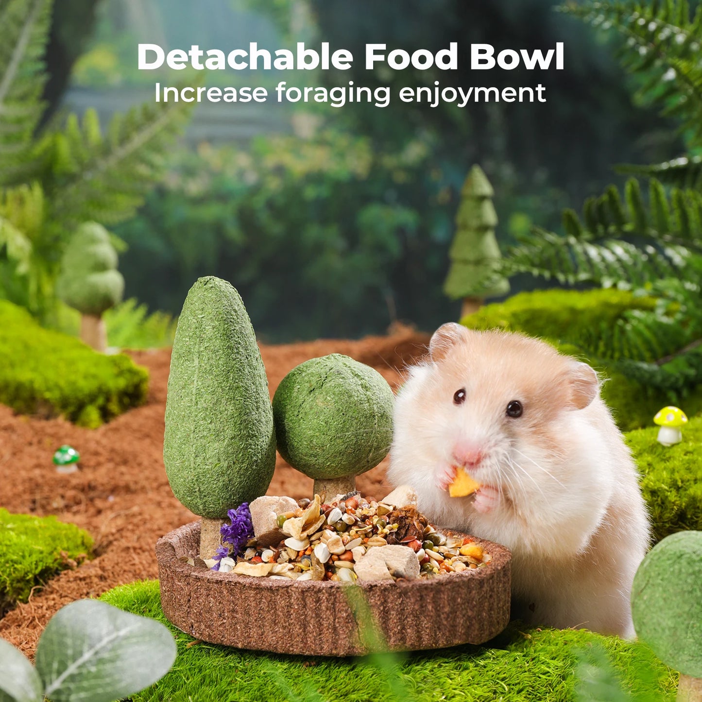 Dental Health, Detachable Chews for Chinchilla/Rat/Gerbils