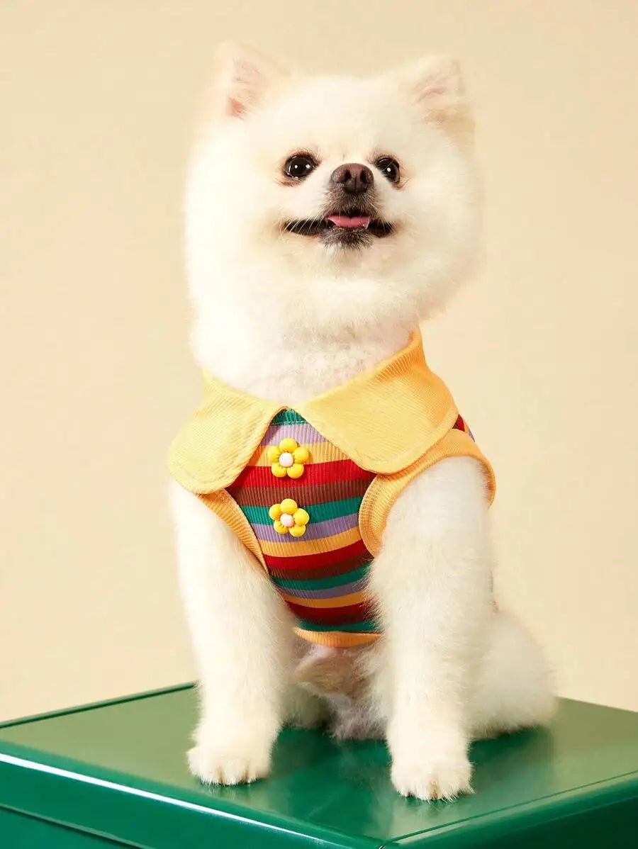 Pink Striped Knit Polo Shirt, Collar and Buttons for Dogs