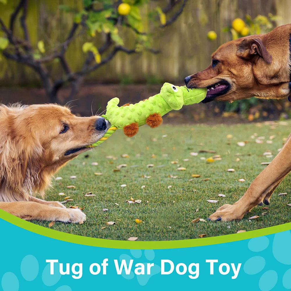 Dog Squeaky Toy, 2 Pack,, Tug of War Toys, Chew Toy