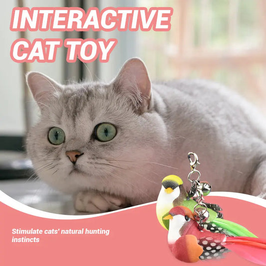 Interactive Indoor Cat Play Enrichment Toy