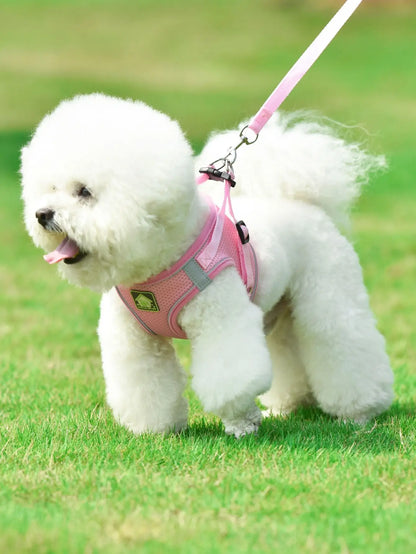 Mesh Harness with Leash for Small Dogs and Cats