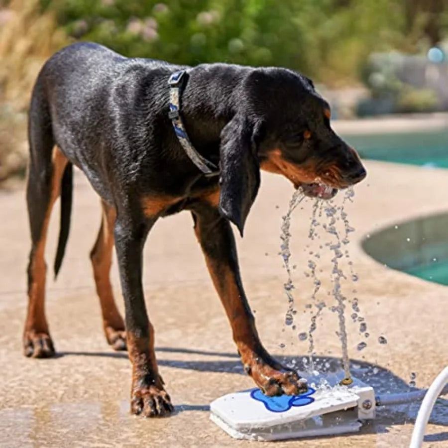 Dog Pedal Step-On Drinking Water Hose Toy