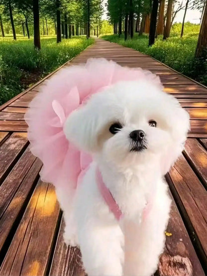 Dress for Small Dogs & Cats,