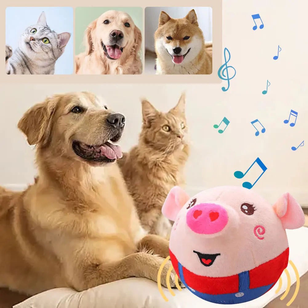 Cartoon Pig,, Active Toy, USB Rechargeable, Talking, Moving Dog Ball, Dogs &  Cats