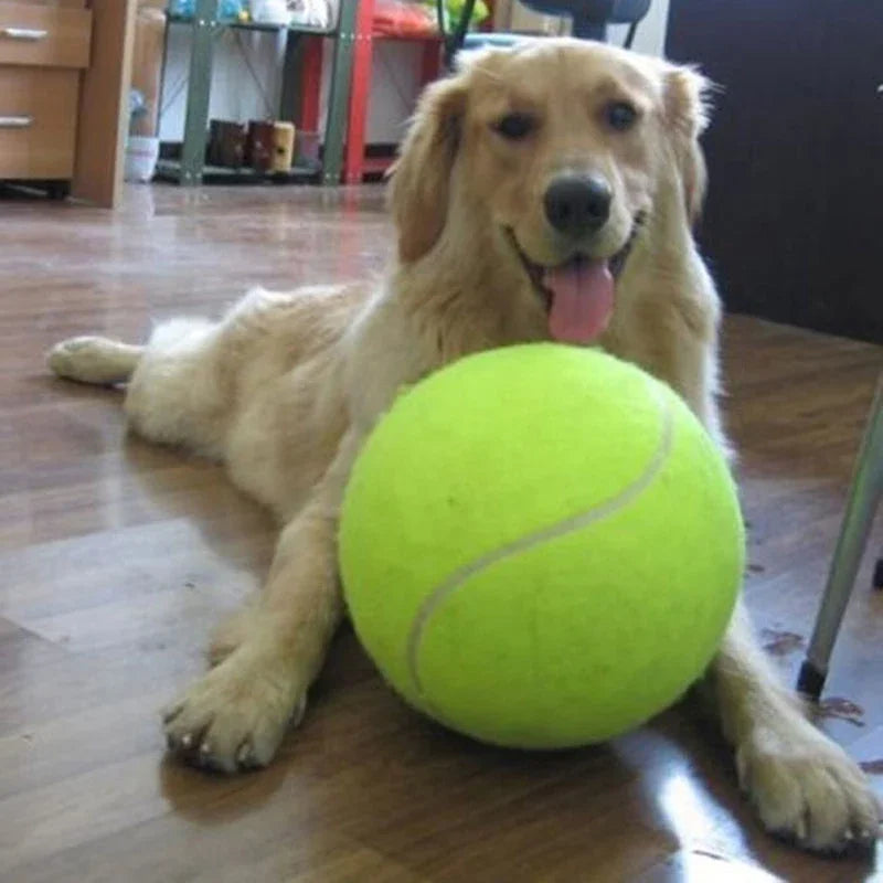 9.5'Giant Tennis Ball Chew Toy