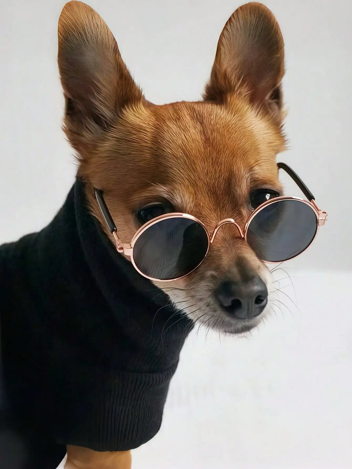 Pet Mini Round Sunglasses with Anti-Slip Strap,