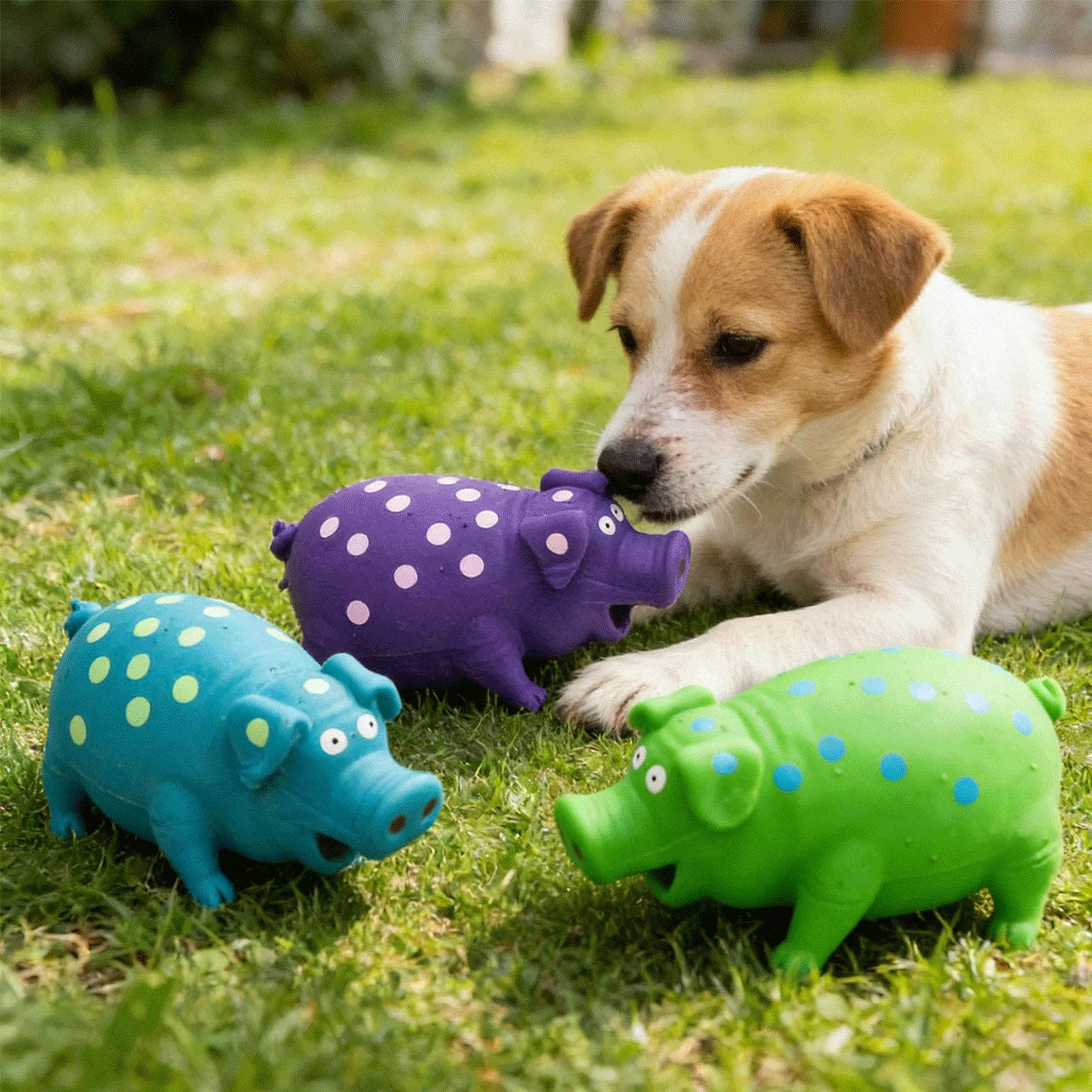 Fun natural latex spotted pig voice dog toy bite resistant and teeth cleaning interactive pet toy