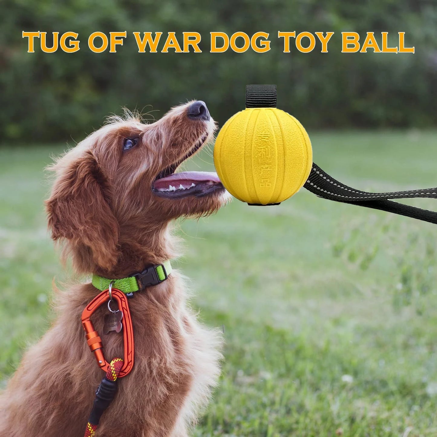 Dog Toy, Balls On a Rope, Medium Large Dogs, Chewers,.