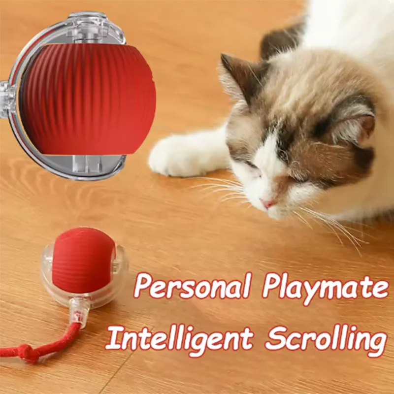 Automatic Self Play Ball, Long Lasting Chew Resistant,  Cats or Dogs