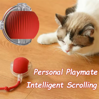 Automatic Self Play Ball, Long Lasting Chew Resistant,  Cats or Dogs