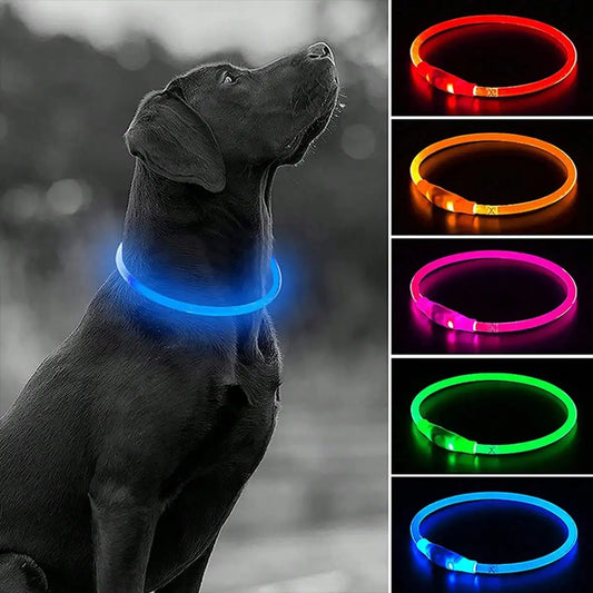 USB Rechargeable, LED Glow Collar, Night Safety, Dogs, Cats