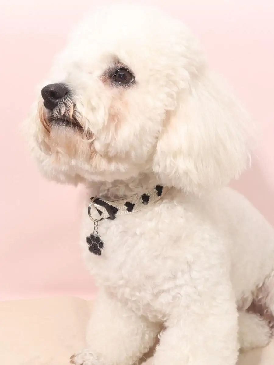 Leopard Print Collar, Glitter Paw Charm, Adjustable, Small Dogs & Cats