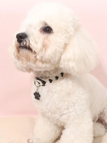 Leopard Print Collar, Glitter Paw Charm, Adjustable, Small Dogs & Cats