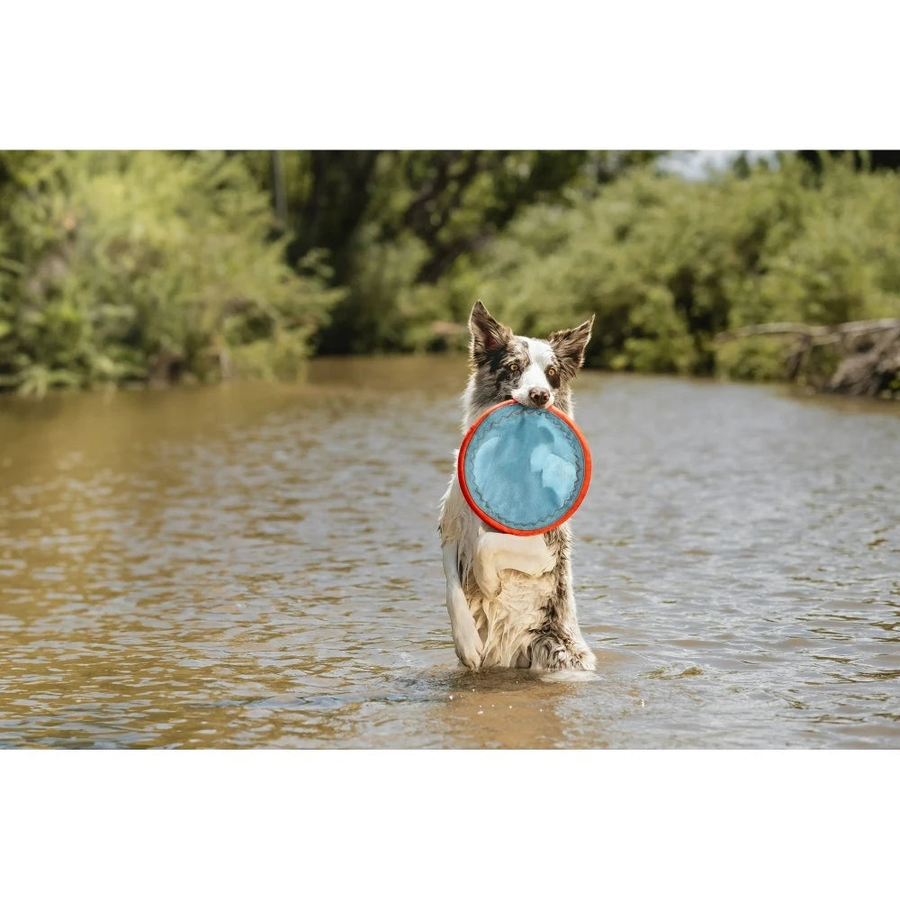 (4-Pack) Frisbee Dog Toy for the Pool