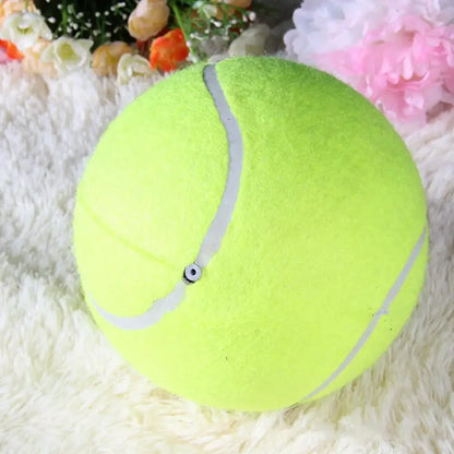 9.5'Giant Tennis Ball Chew Toy
