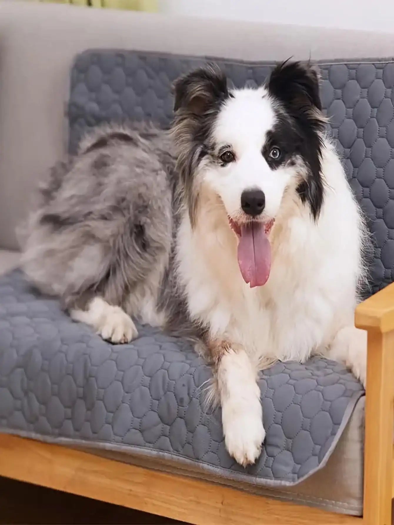 Reusable Washable Dog Pee Pad