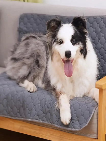 Reusable Washable Dog Pee Pad
