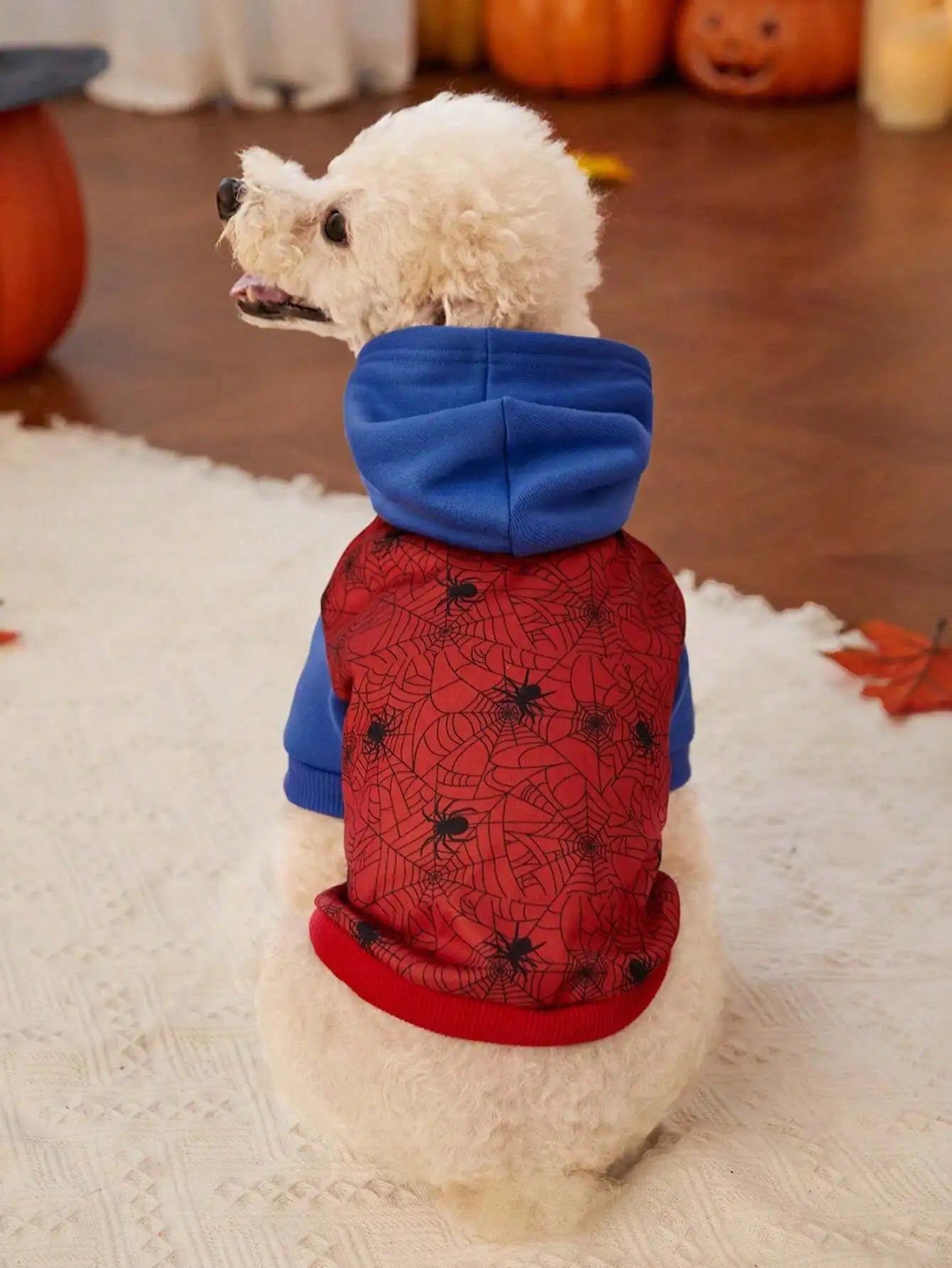 Spiderweb Print Hooded Sweater