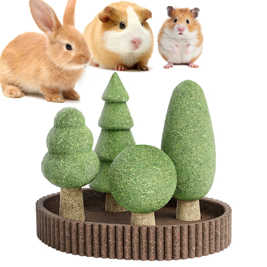 Dental Health, Detachable Chews for Chinchilla/Rat/Gerbils