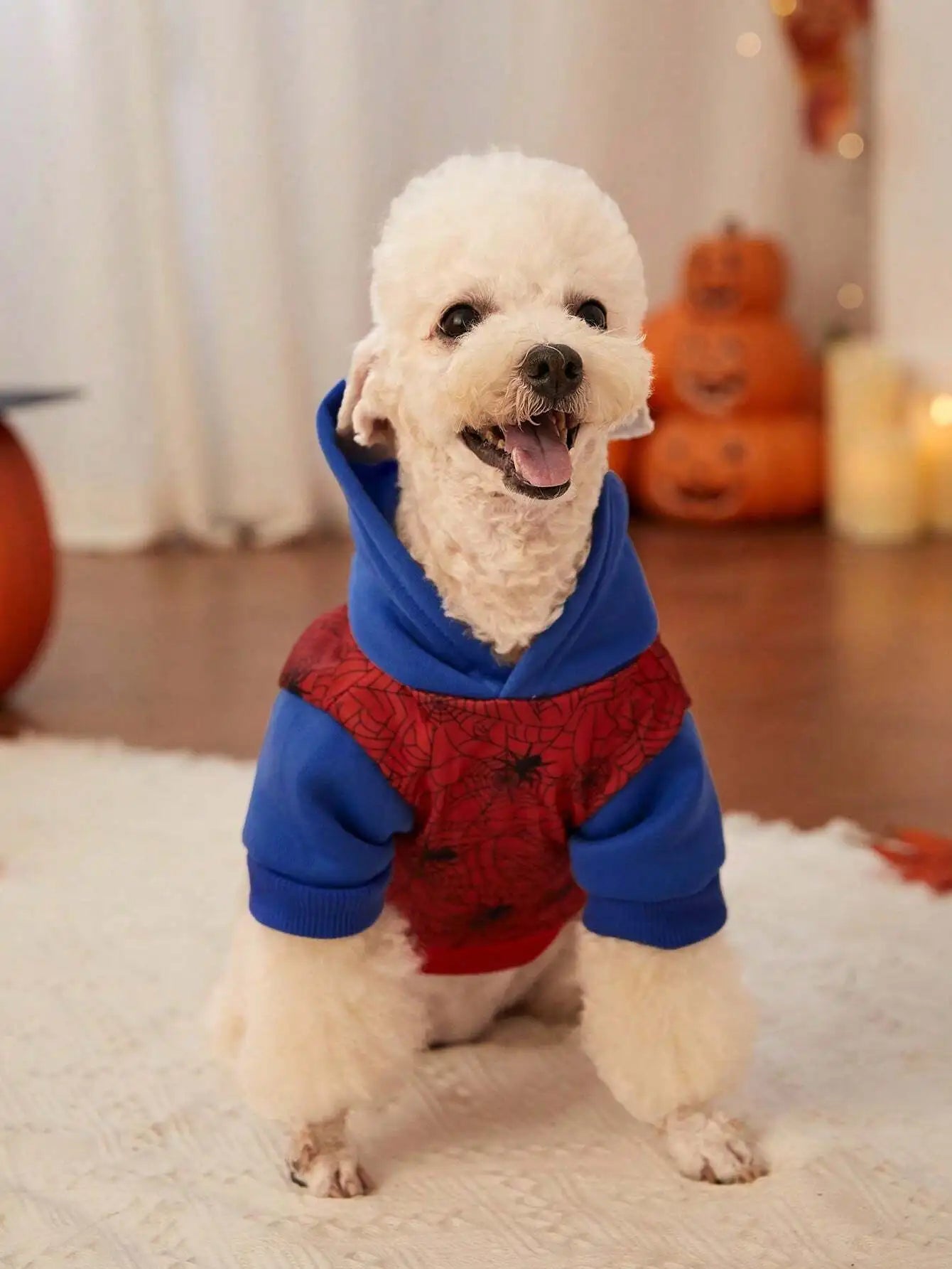 Spiderweb Print Hooded Sweater