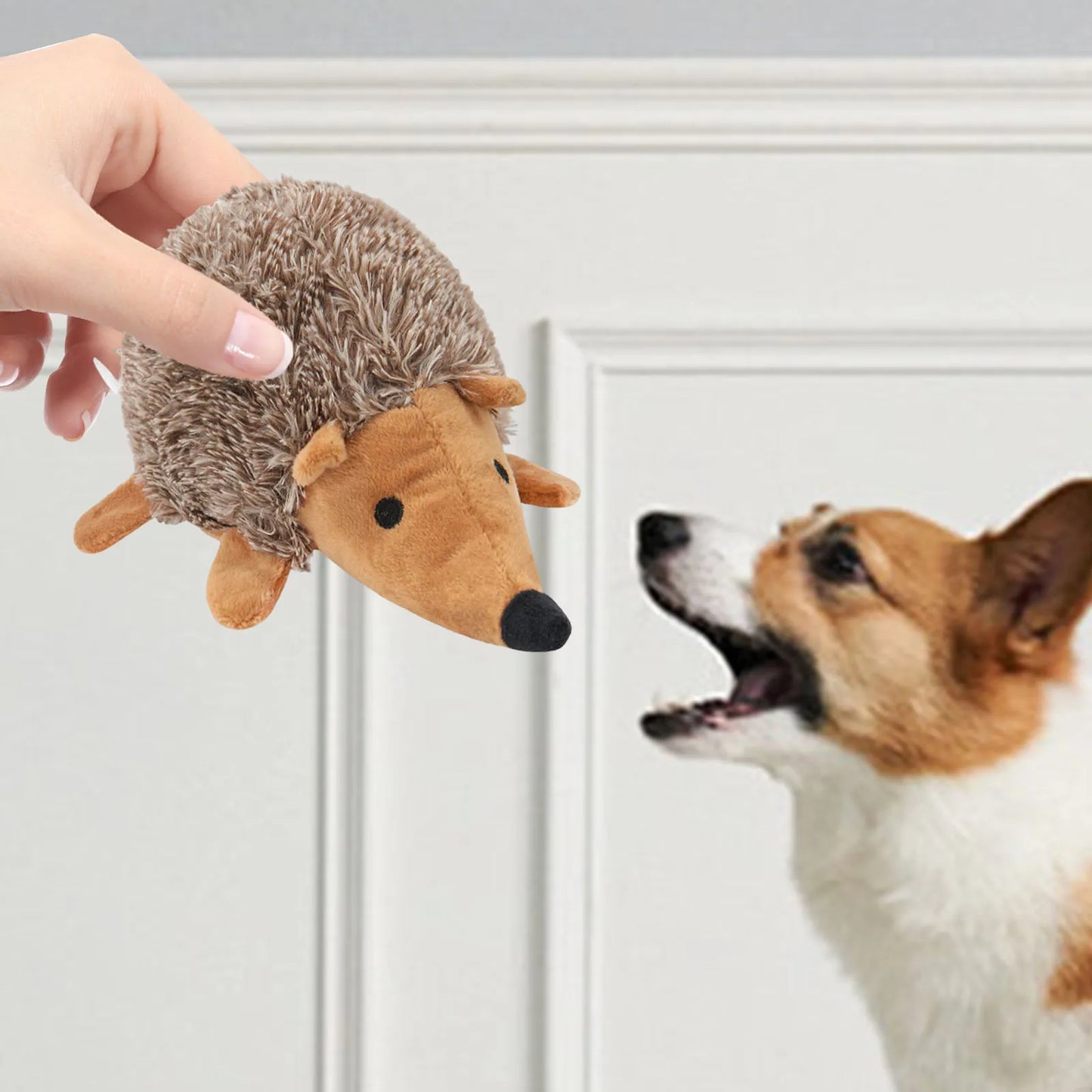 Squeaky Dog Chew Toy Bite-Resistant Cute Soft Dog Chewing Toy Washable Cartoon Hedgehog Pet Toy Pet Teeth Grinding & Cleaning