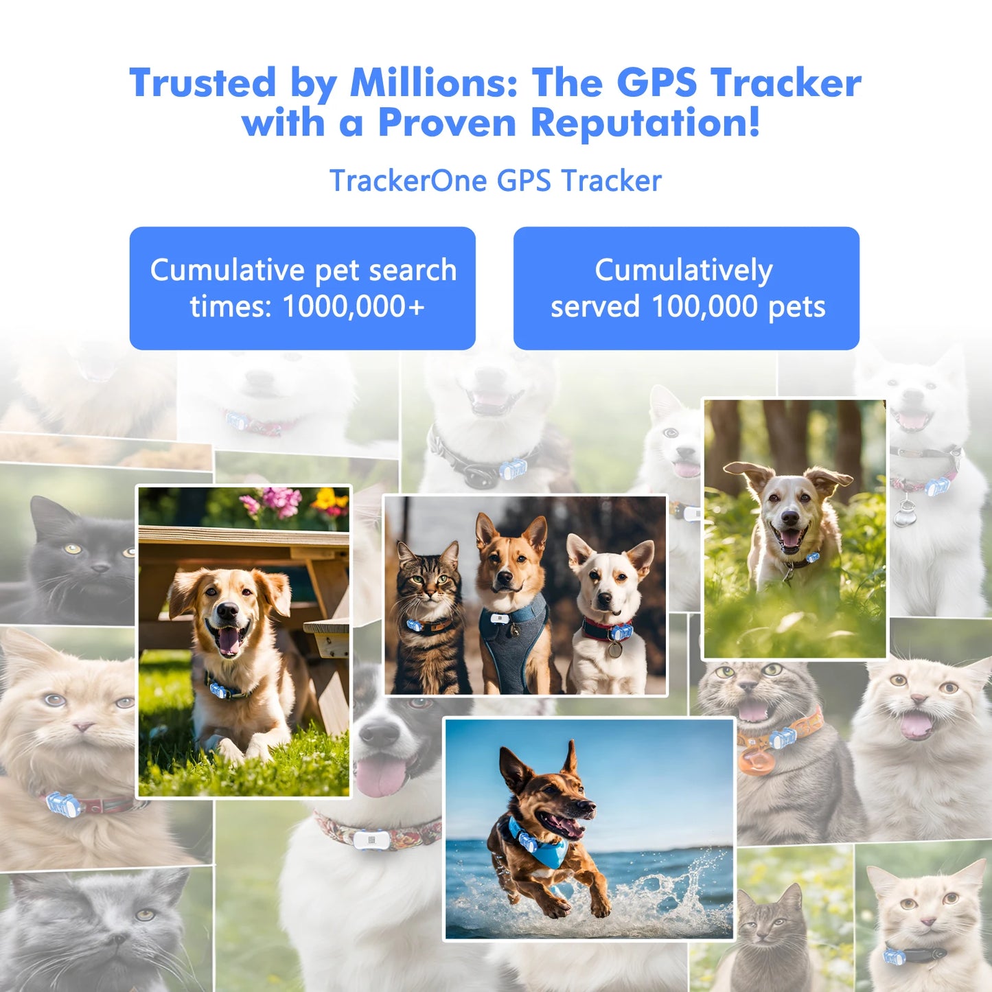 4G GPS Cat Dog Tracker Global Real-Timer, 10+ Days Battery