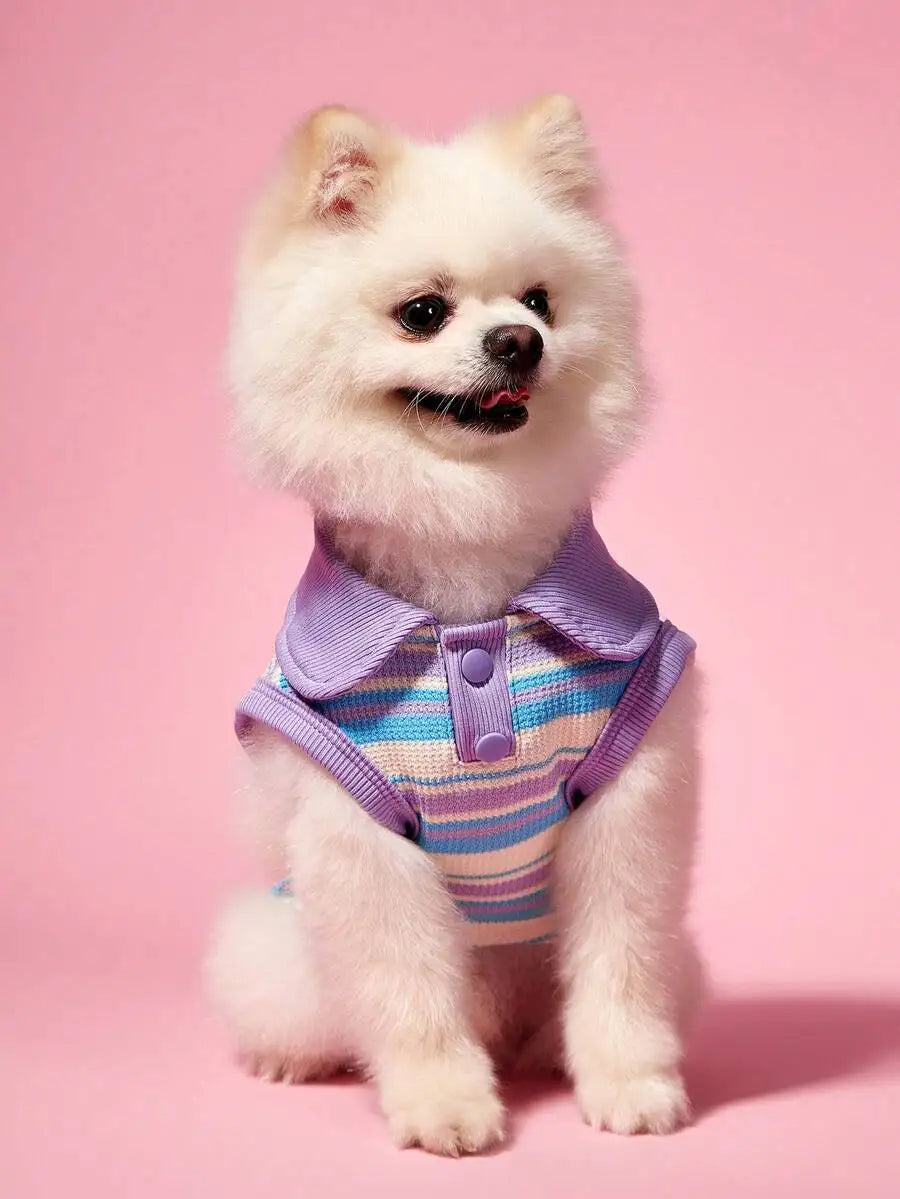 Pink Striped Knit Polo Shirt, Collar and Buttons for Dogs