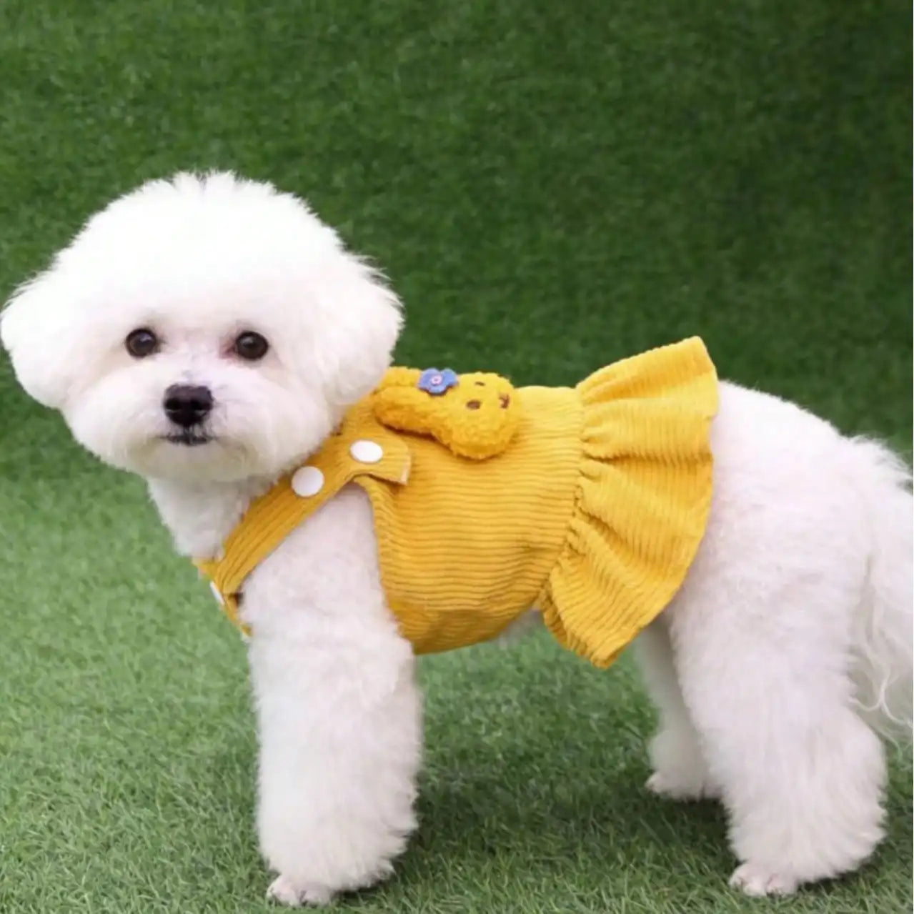 Pink Corduroy Dress , Bear Applique, Small Dogs