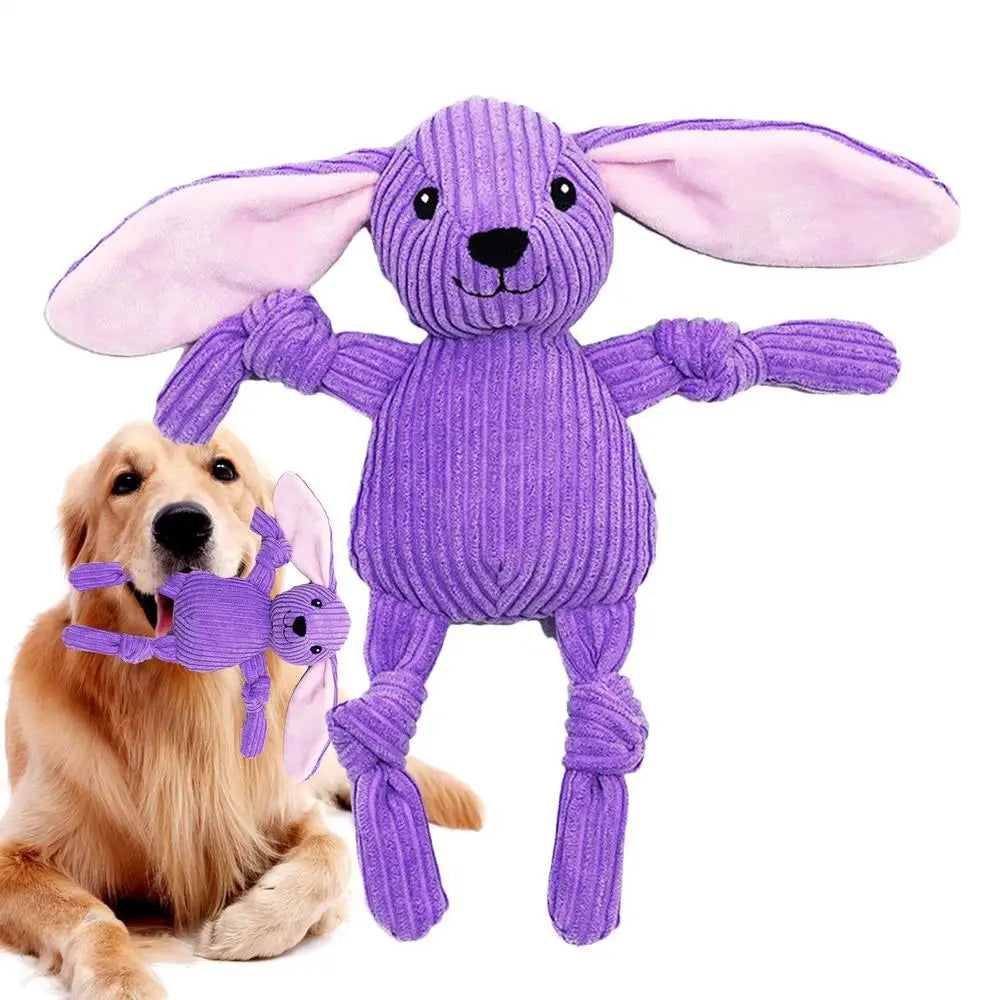 Dog Chew Toy, Teeth Cleaning, Interactive Squeaky Toy, Small Dogs