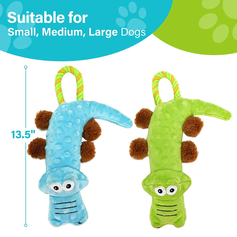 Dog Squeaky Toy, 2 Pack,, Tug of War Toys, Chew Toy