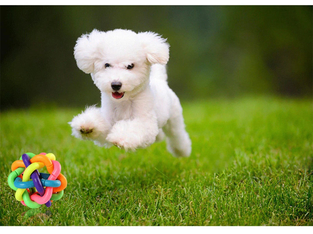 Colorful Woven Toy, Dog Bite Resistant,  Rubber