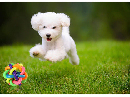 Colorful Woven Toy, Dog Bite Resistant,  Rubber