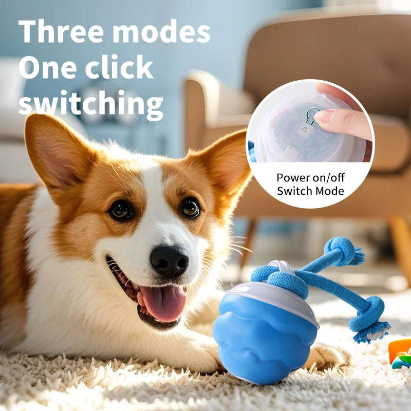 Electric dog ball, pet toy ball, USB charging dog interactive toy, durable dog chew ball toy, bringing endless fun and exercise