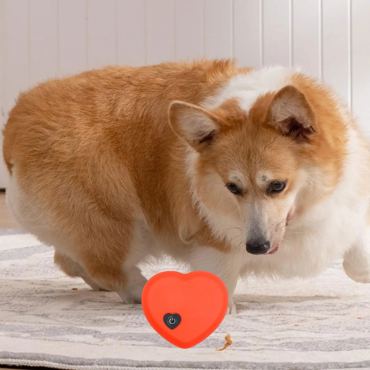 Heartbeat Replacement, Behavioral Aid, Calming Dog Toy