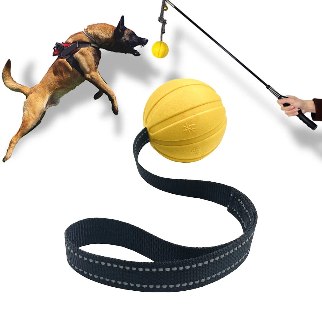 Dog Toy, Balls On a Rope, Medium Large Dogs, Chewers,.