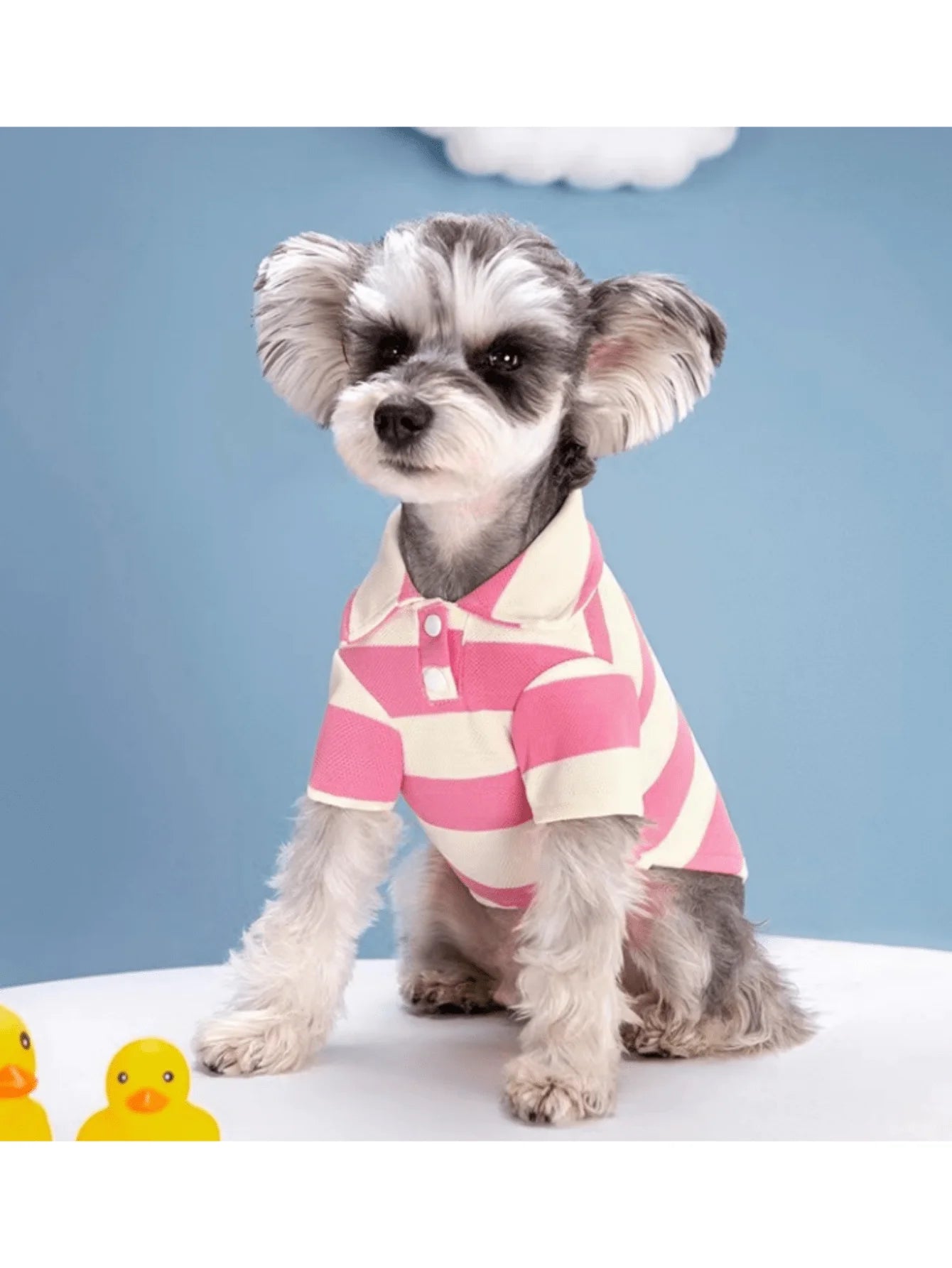 Striped Polo Shirt for Dogs, Short Sleeve , Snap Button Closure