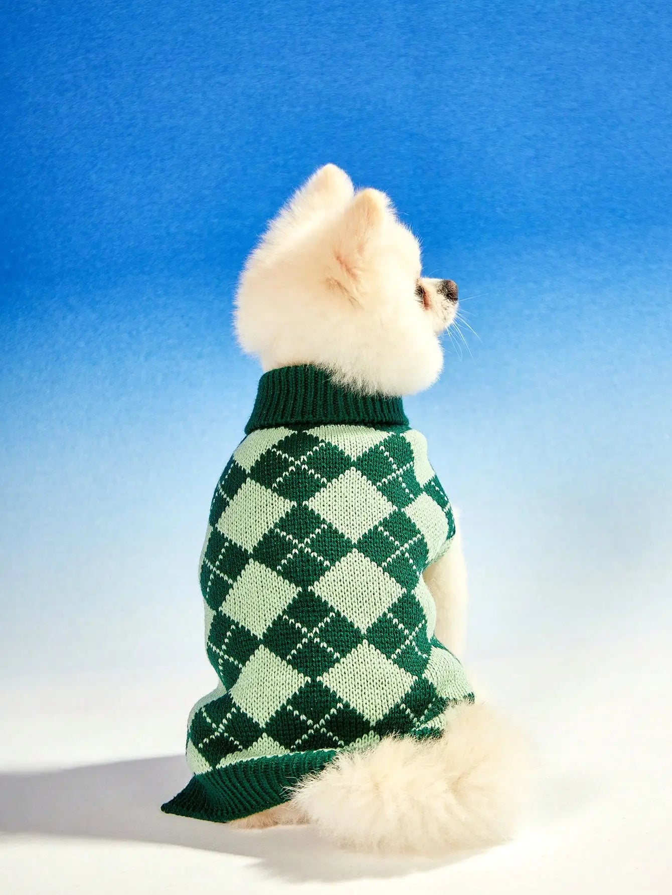 Green Argyle Knit Sweater, Autumn ,Winter, Dogs