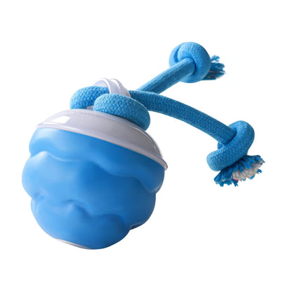 Electric dog ball, pet toy ball, USB charging dog interactive toy, durable dog chew ball toy, bringing endless fun and exercise