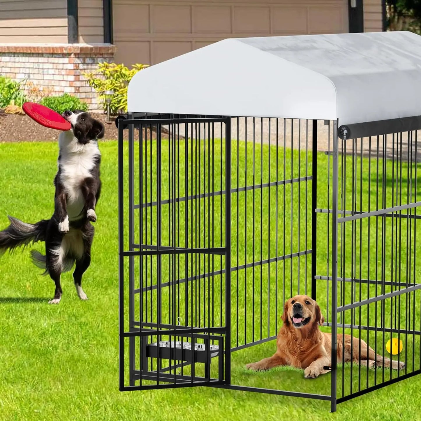 Heavy-Duty Outdoor Dog kennel with Roof