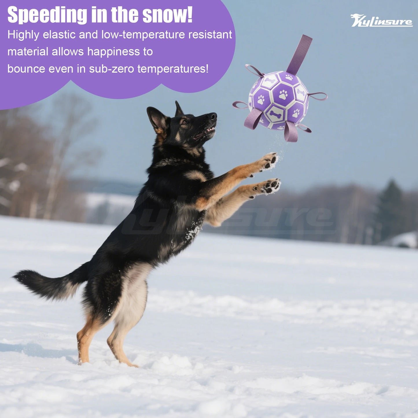 Dog Toys for Tug of War