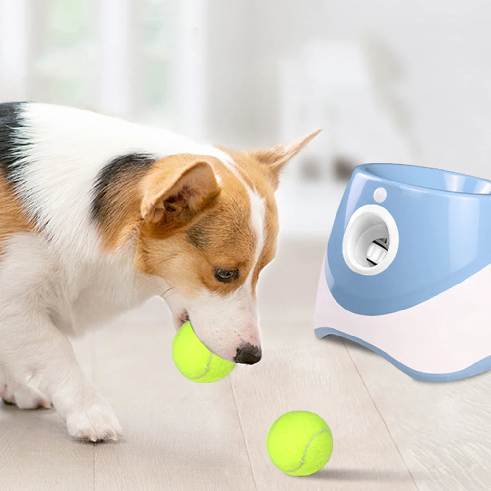 Tennis Ball Throwing Pinball Machine for Dogs