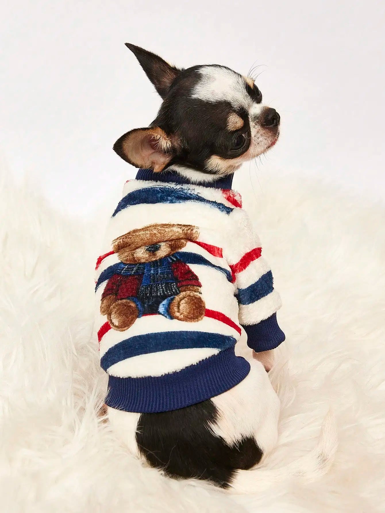 Striped Sweatshirt, Bear Graphic, Warm Winter