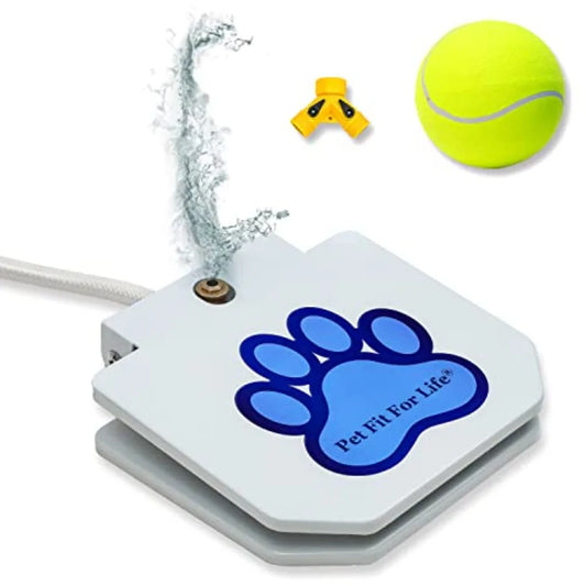 Dog Water Fountain, Step-On Sprinkler, Toy & Water Play