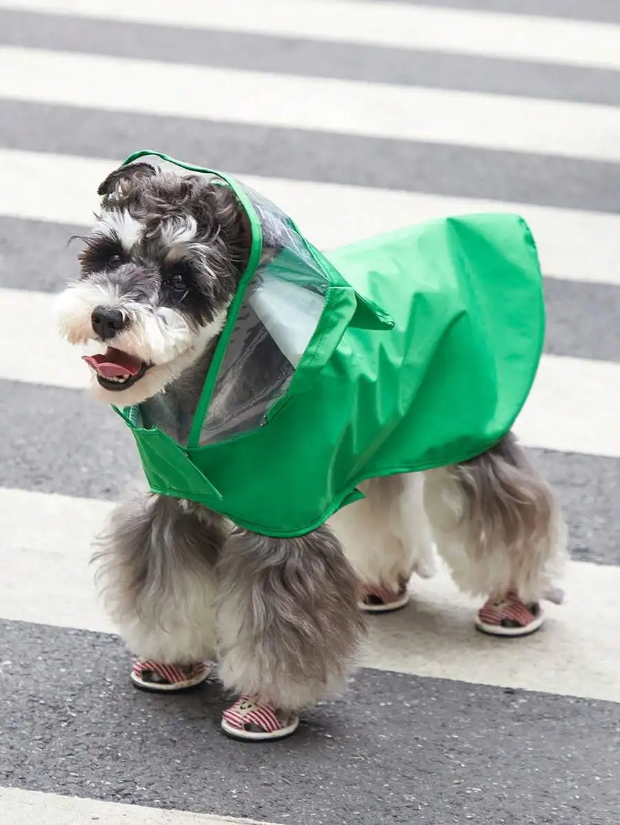 Green Frog-Hooded Raincoat for Dogs and Cats