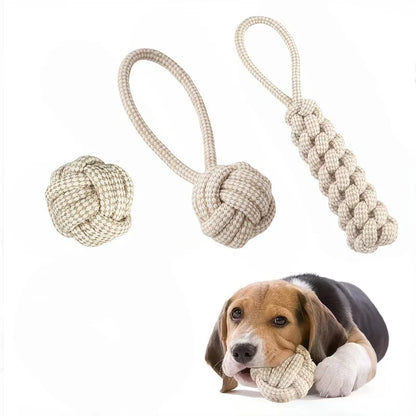 A 3-piece Set Of Leisure And Entertainment Toys For Dogs And Cats To Better Interact With Your Pets