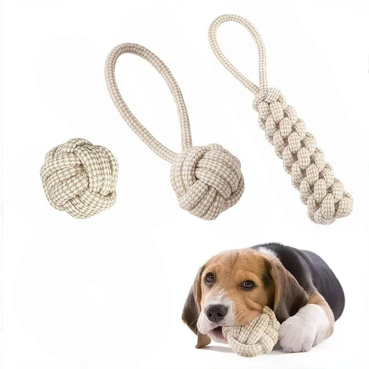 A 3-piece Set Of Leisure And Entertainment Toys For Dogs And Cats To Better Interact With Your Pets