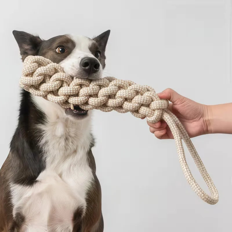 A 3-piece Set Of Leisure And Entertainment Toys For Dogs And Cats To Better Interact With Your Pets