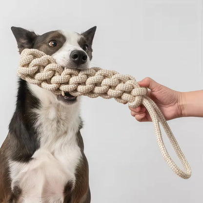 A 3-piece Set Of Leisure And Entertainment Toys For Dogs And Cats To Better Interact With Your Pets