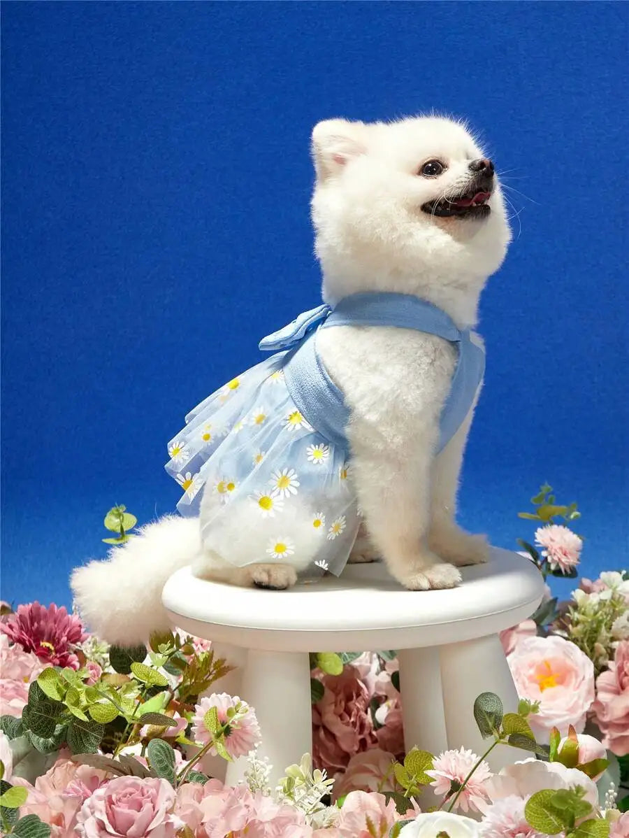 Blue Daisy Print Dress, Bow Tie,  Tulle Skirt