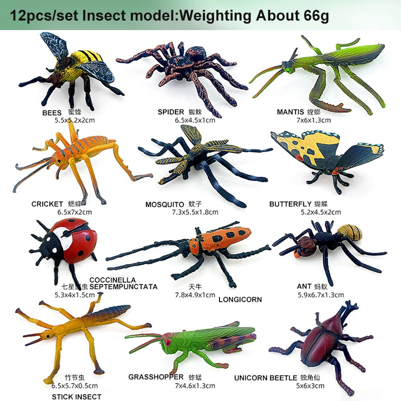 12pcs Wild Insect Mode Toy Set
